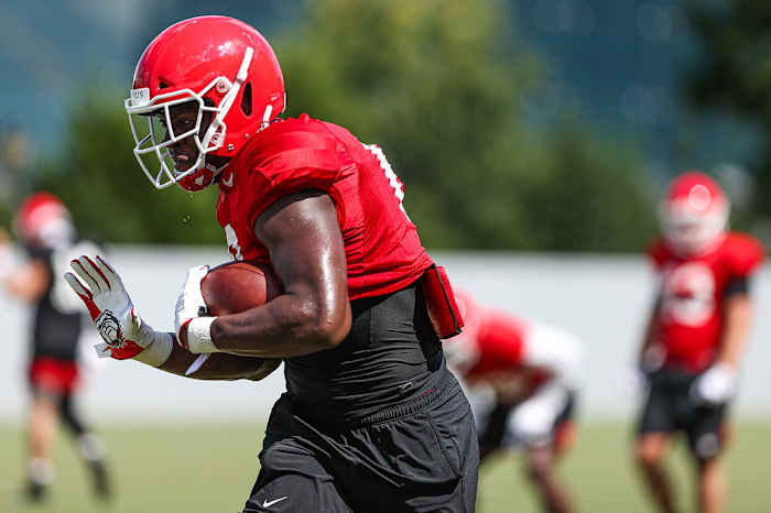 Darnell Washington, Photo courtesy of UGA Athletics 